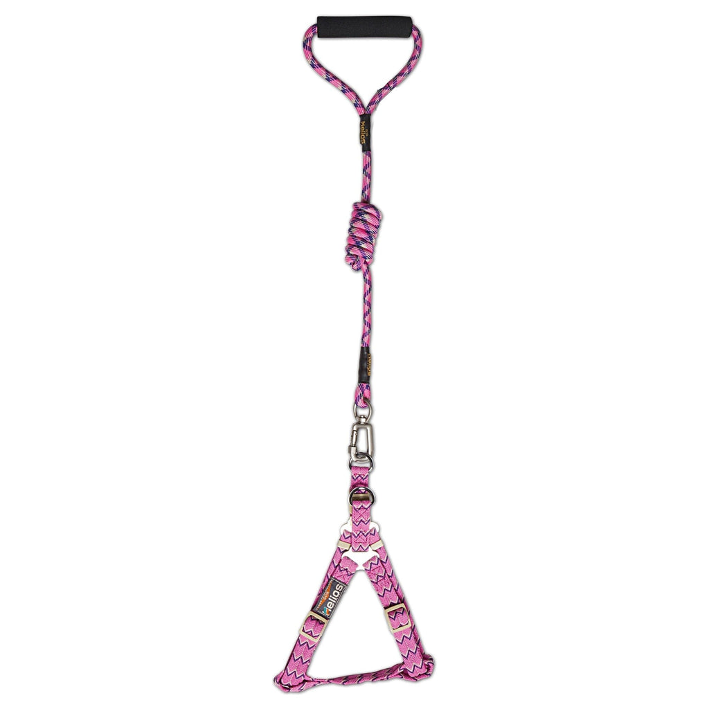 Dog Helios Surfside Designer Leash and Harness