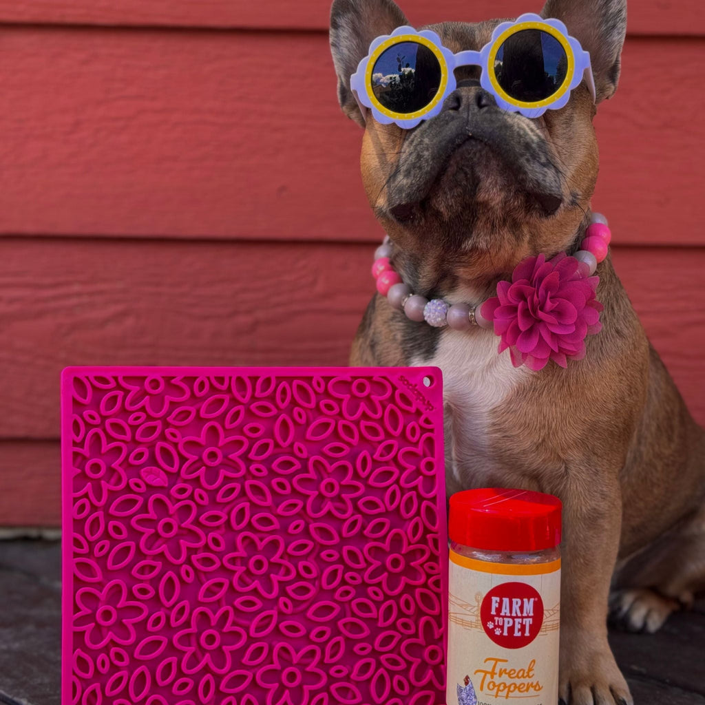 Dog Lick Mats - PhishStones Products