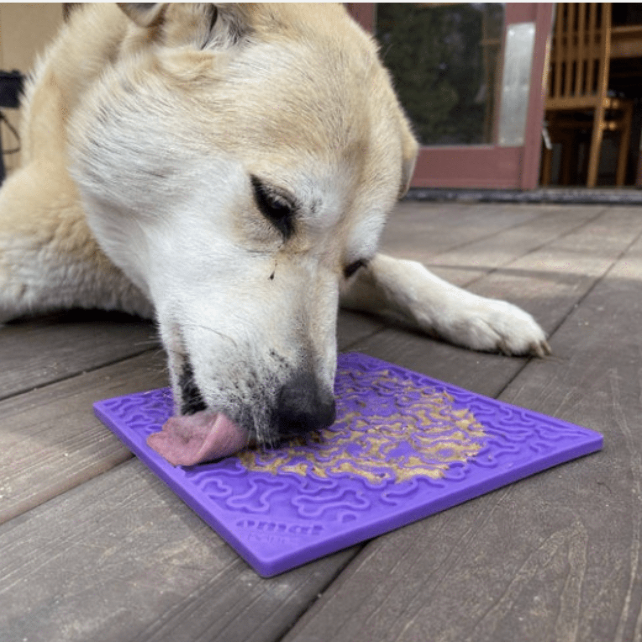 Dog Lick Mats - PhishStones Products