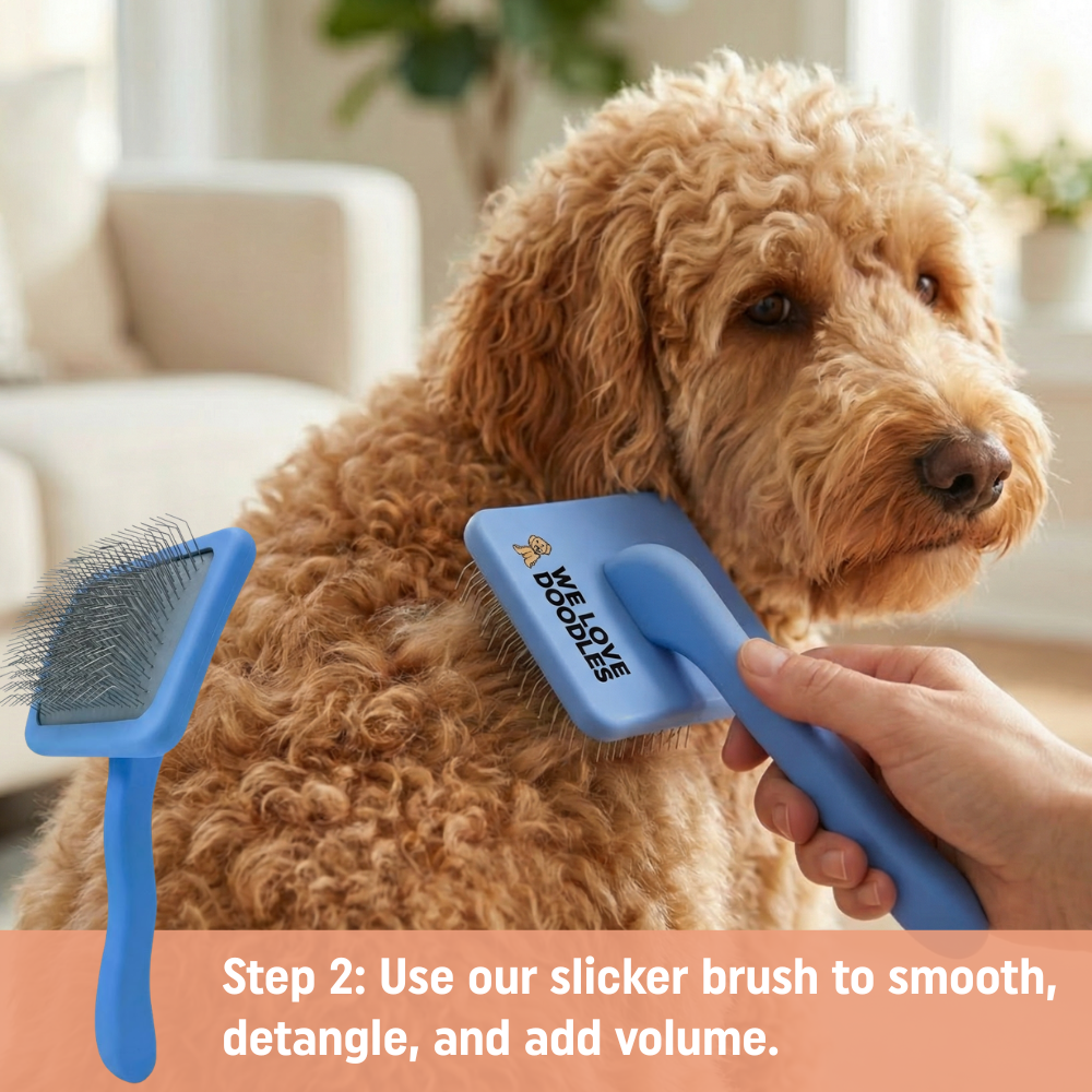 At Home Grooming Pack – Brush, Scissors and Detangler