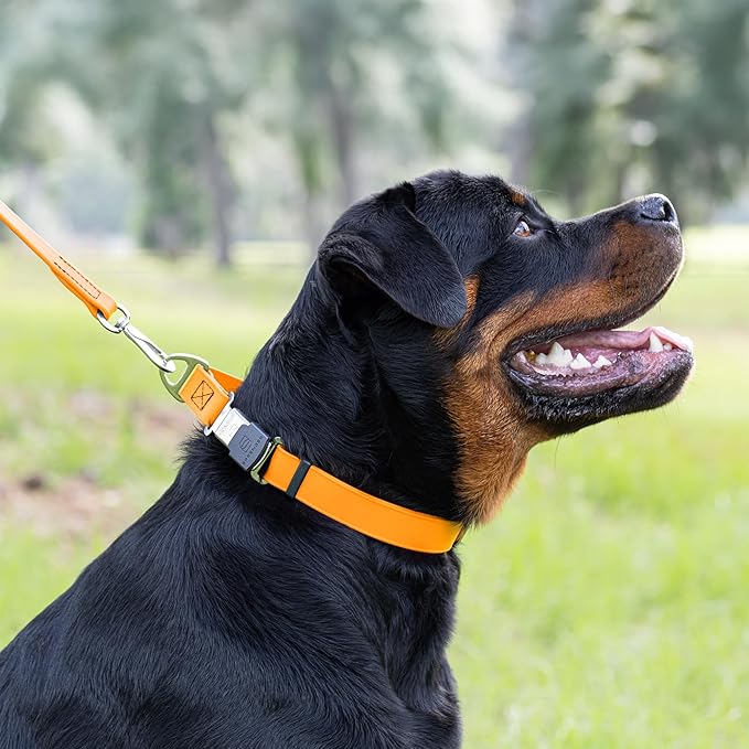 Dogline Biothane Waterproof Dog Collar with Herm Sprenger Black Stainless Steel Quick Release Buckle – Heavy Duty Tactical Durable Collar for Dogs – Comfortable Pet Collar W3/4" L12 - 19 Tangerine - PhishStones Products