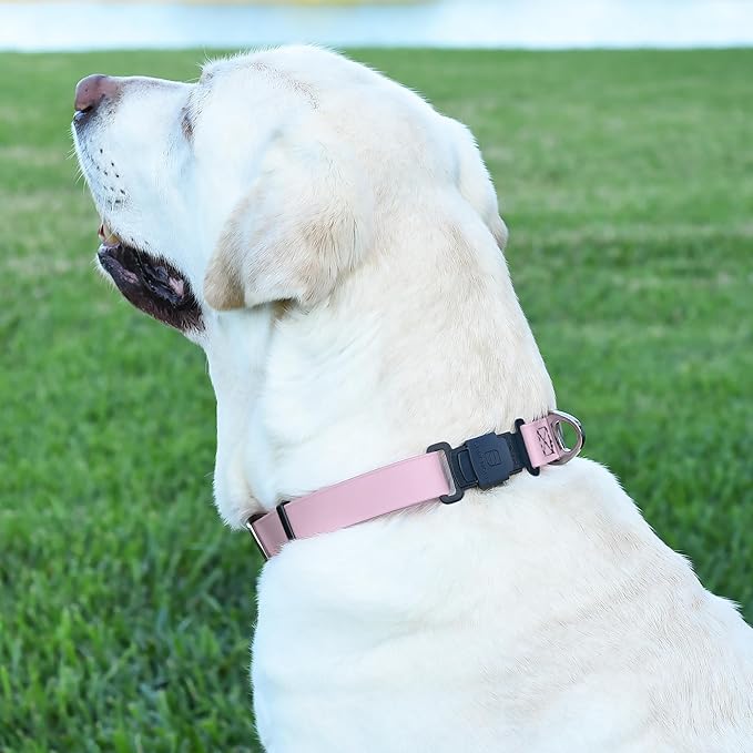 Dogline Biothane Waterproof Dog Collar with Herm Sprenger Stainless Steel Quick Release Buckle – Heavy Duty Tactical Durable Collar for Dogs – Comfortable and Safe Pet Collar, W 3/4" L 12 - 19", Pastel - PhishStones Products