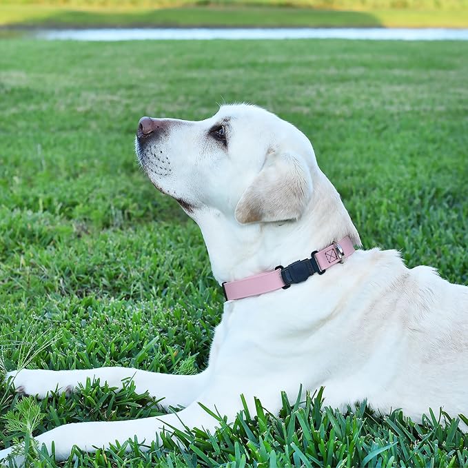 Dogline Biothane Waterproof Dog Collar with Herm Sprenger Stainless Steel Quick Release Buckle – Heavy Duty Tactical Durable Collar for Dogs – Comfortable and Safe Pet Collar, W 3/4" L 12 - 19", Pastel - PhishStones Products
