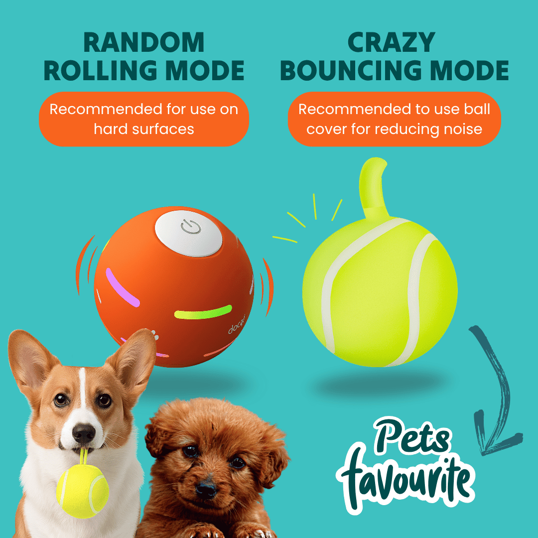 DOG’S INTERACTIVE BALL - PhishStones Products