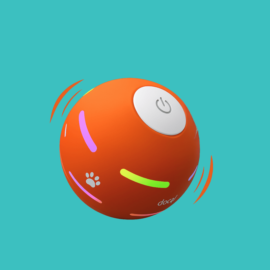 DOG’S INTERACTIVE BALL - PhishStones Products