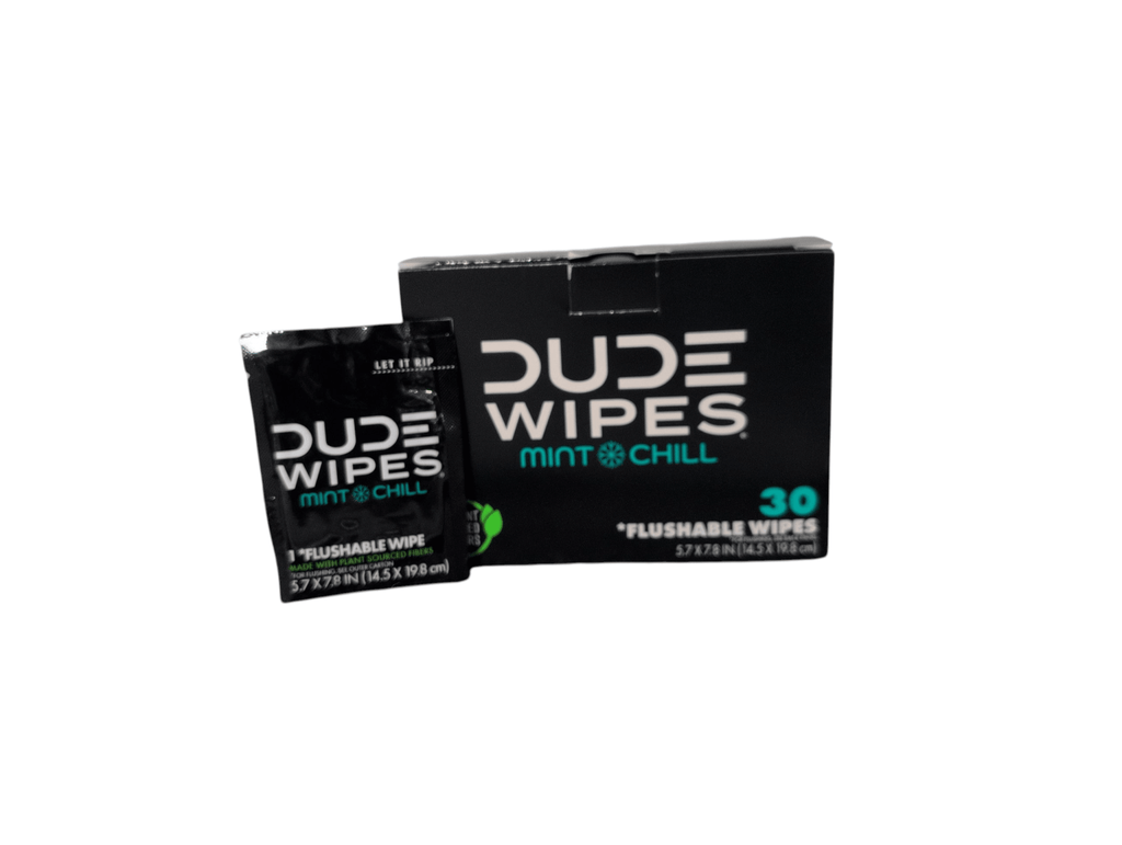DUDE Wipes XL Flushable Wipes – Fragrance Free, Hypoallergenic Adult Wipes (400 CT / 480 CT) - PhishStones Products