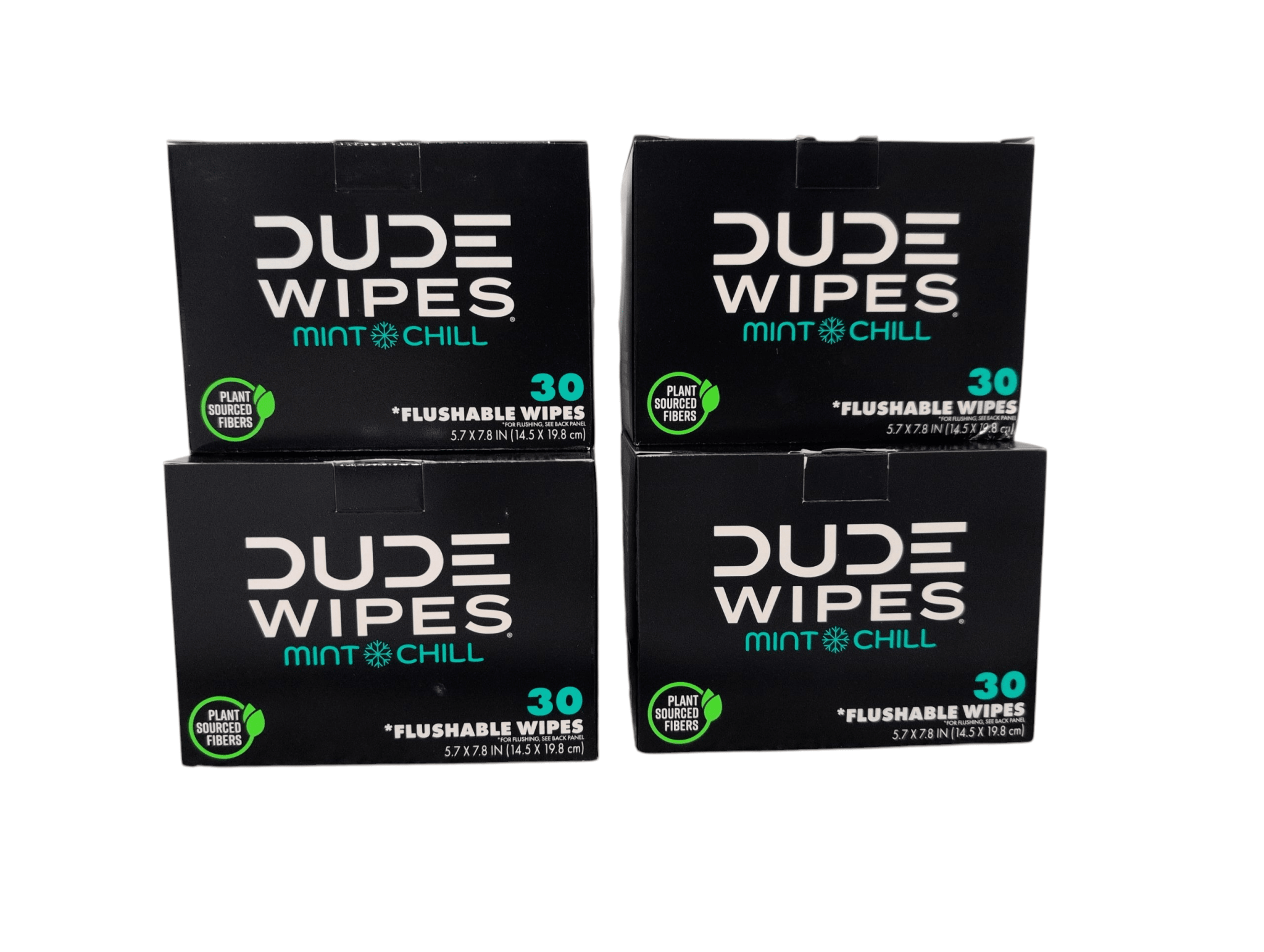 DUDE Wipes XL Flushable Wipes – Fragrance Free, Hypoallergenic Adult Wipes (400 CT / 480 CT) - PhishStones Products