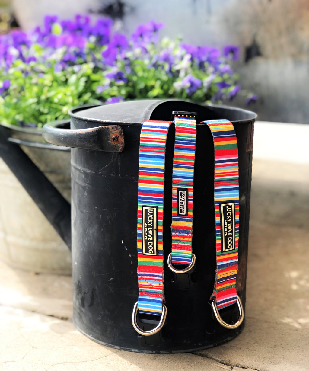 *Hippie Dog Leash*