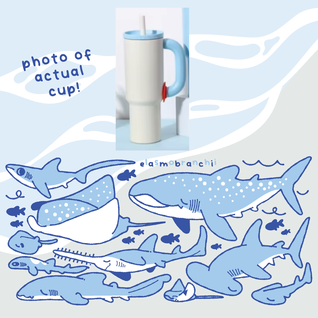 Elasmobranch Water Bottle