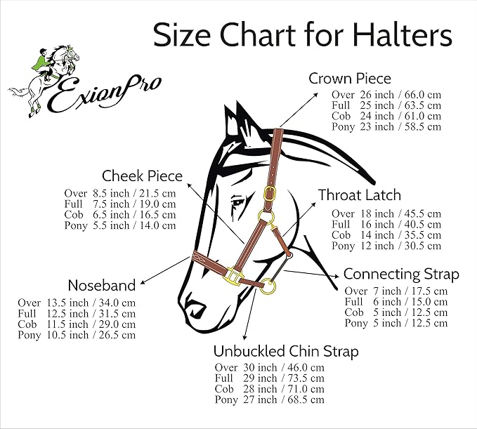 Exion Leather Horse Halter with Padding & Clincher Studs – Adjustable Quick‑Release Crownpiece Halter for Horses – Vegetable‑Tanned Leather in Black & Brown – Cob, Full & Oversize - PhishStones Products