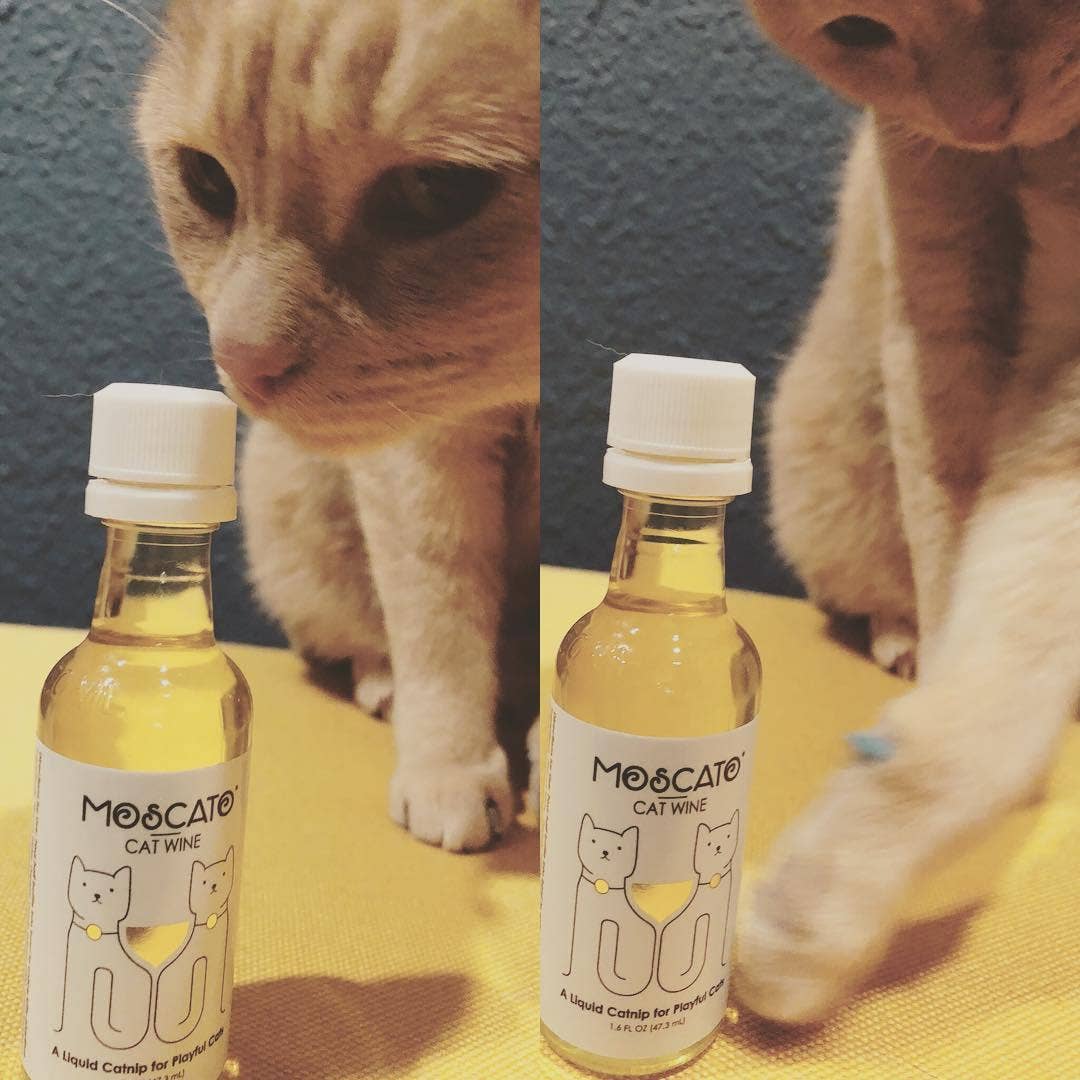 🍷🐱 Apollo Peak MosCATo Cat Wine – Organic Liquid Catnip Treat