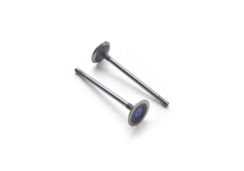 Ford Racing Coyote 5.2L Lightweight Exhaust Valve - Set of 8 M-6505-M52