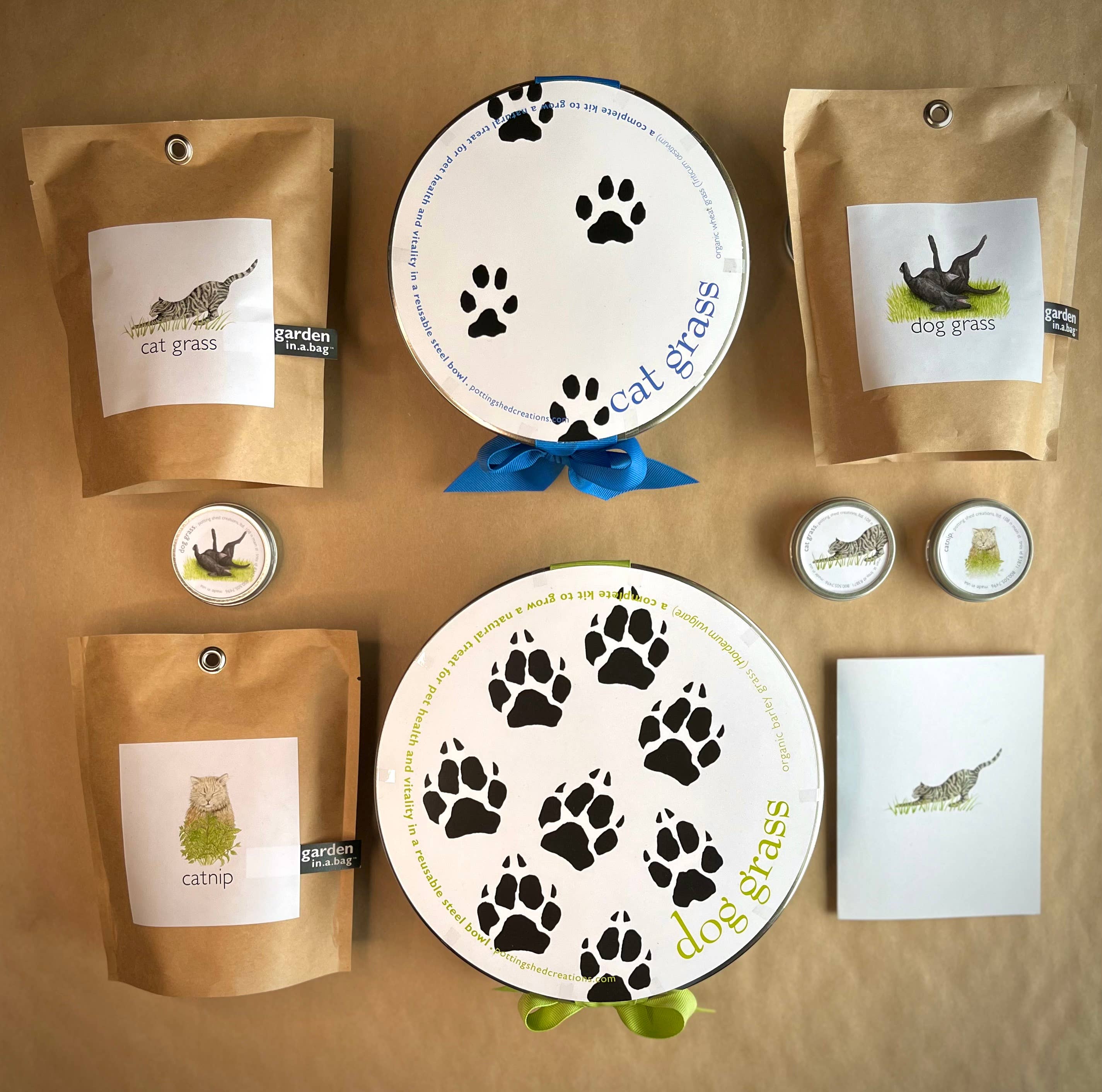 🐱🌱Garden in a Bag | Catnip | Spring Pet Treat Gift