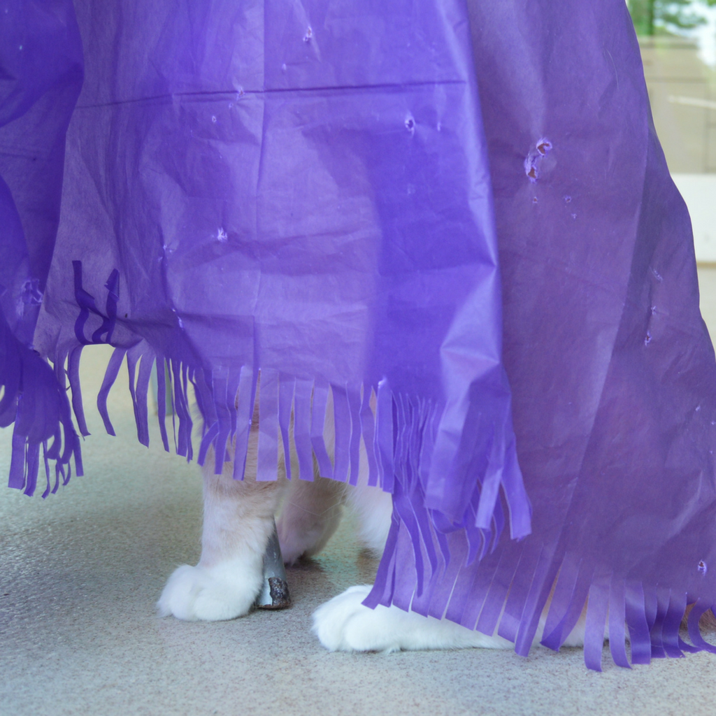 🐱✨ Magic Carpet Cat Play Tent – Crinkle Hideaway & Interactive Play Mat