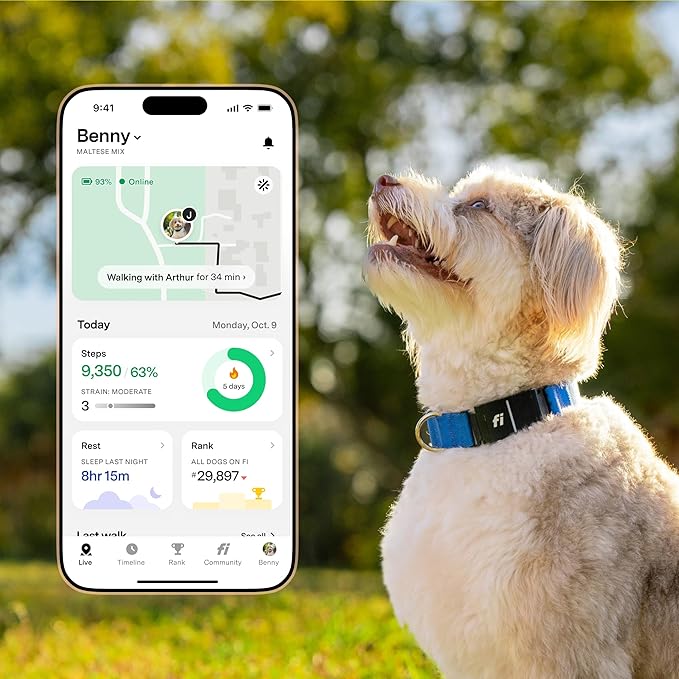Fi New Series 3+ Smart Dog Tracker Collar – AI GPS for Dogs, Health & Behavior Monitor, Virtual Fence, Escape Alerts, Waterproof, Apple Watch Compatible 12Mo Membership Included - PhishStones Products