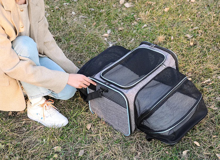 Foldable Mesh Pet Carrier – Expandable Soft - Sided Travel Carrier for Cats & Small Dogs, Breathable Handheld Tote - PhishStones Products