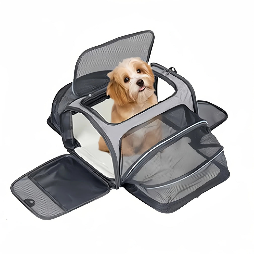 Foldable Mesh Pet Carrier – Expandable Soft - Sided Travel Carrier for Cats & Small Dogs, Breathable Handheld Tote - PhishStones Products