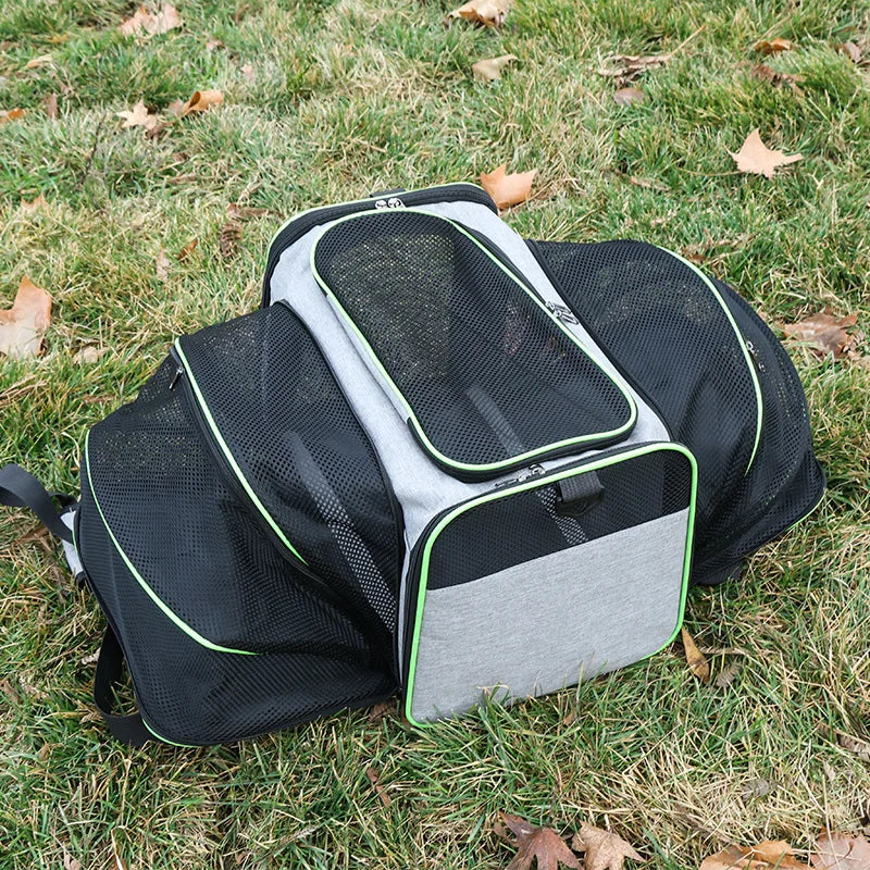 Foldable Mesh Pet Carrier – Expandable Soft - Sided Travel Carrier for Cats & Small Dogs, Breathable Handheld Tote - PhishStones Products