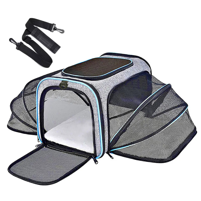 Foldable Mesh Pet Carrier – Expandable Soft - Sided Travel Carrier for Cats & Small Dogs, Breathable Handheld Tote - PhishStones Products