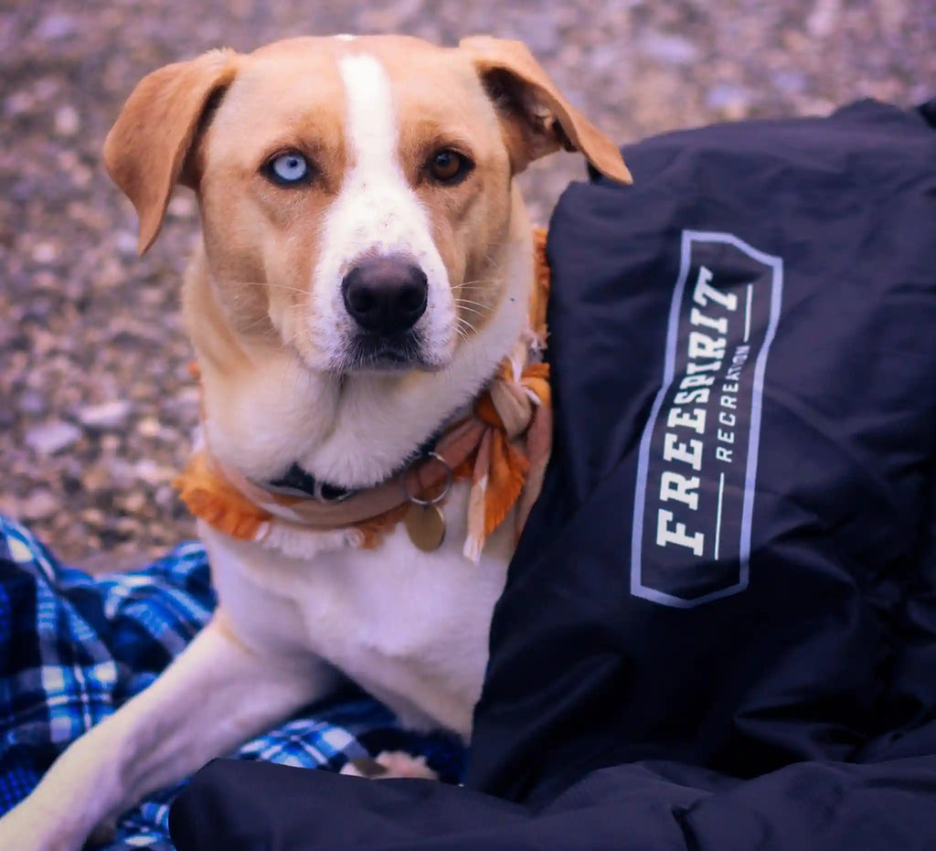 FSR Flannel Sleeping Bag