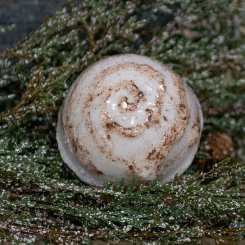 Amish Cinnabun Bath Bomb  (Pack of 4)