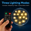 Floating Pool Lights: Solar Powered LED Balls with Remote