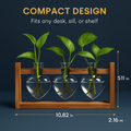 Heart Vase Plant Terrarium Station with Wood Stand