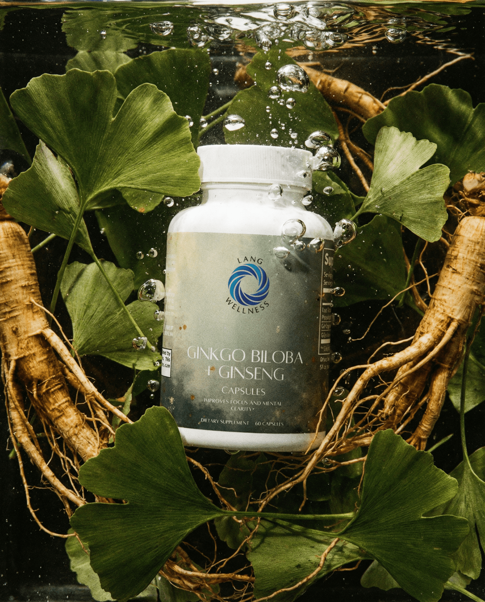 Ginkgo Biloba + Ginseng - PhishStones Products