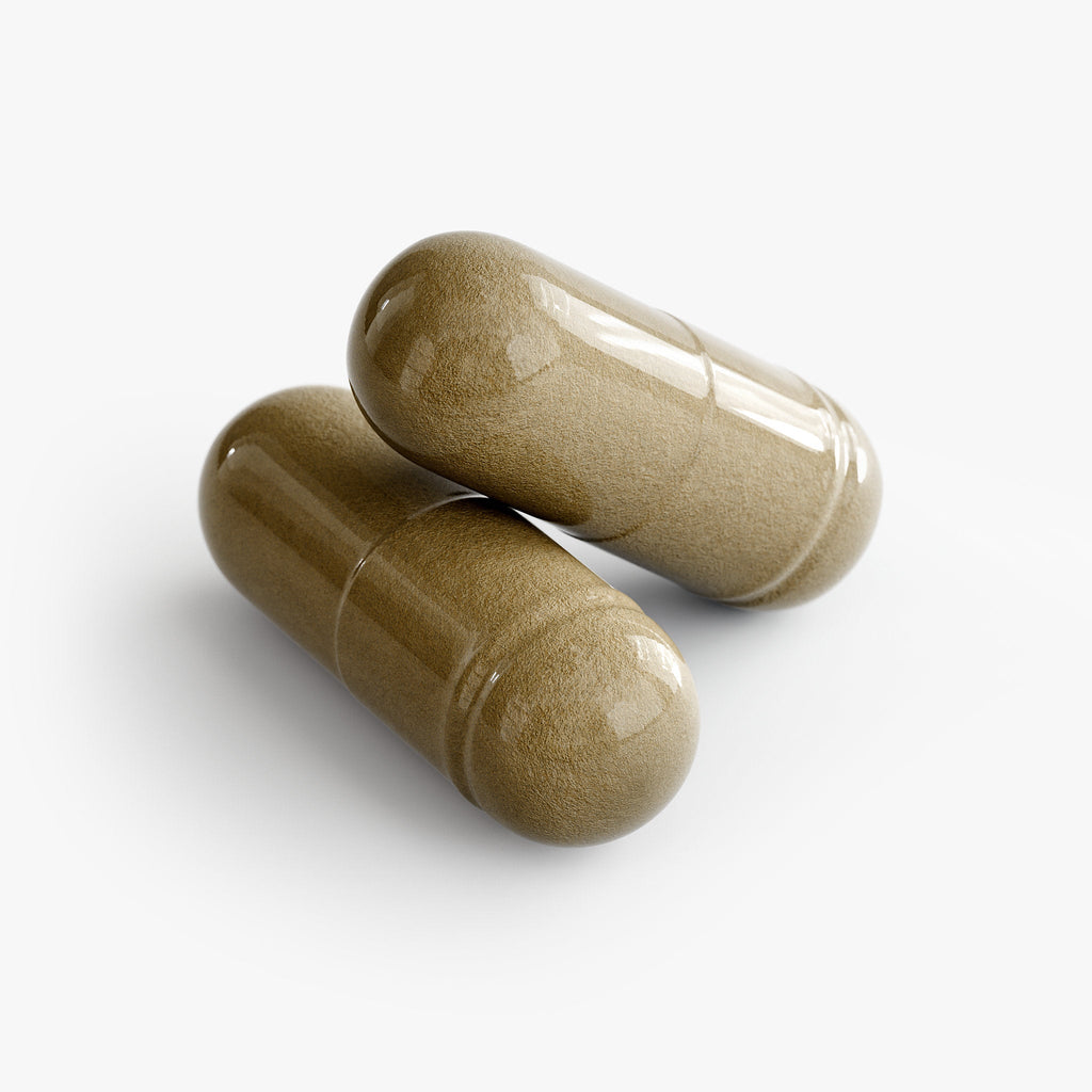 Ginkgo Biloba + Ginseng - PhishStones Products
