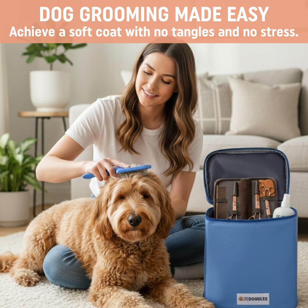 At Home Grooming Pack – Brush, Scissors and Detangler