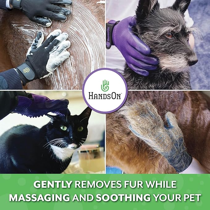 H HANDSON Pet Grooming Gloves - Patented 1 Ranked, Award Winning Shedding, Bathing, & Hair Remover Gloves - Gentle Brush for Cats, Dogs, and Horses (Blue, Large) - PhishStones Products