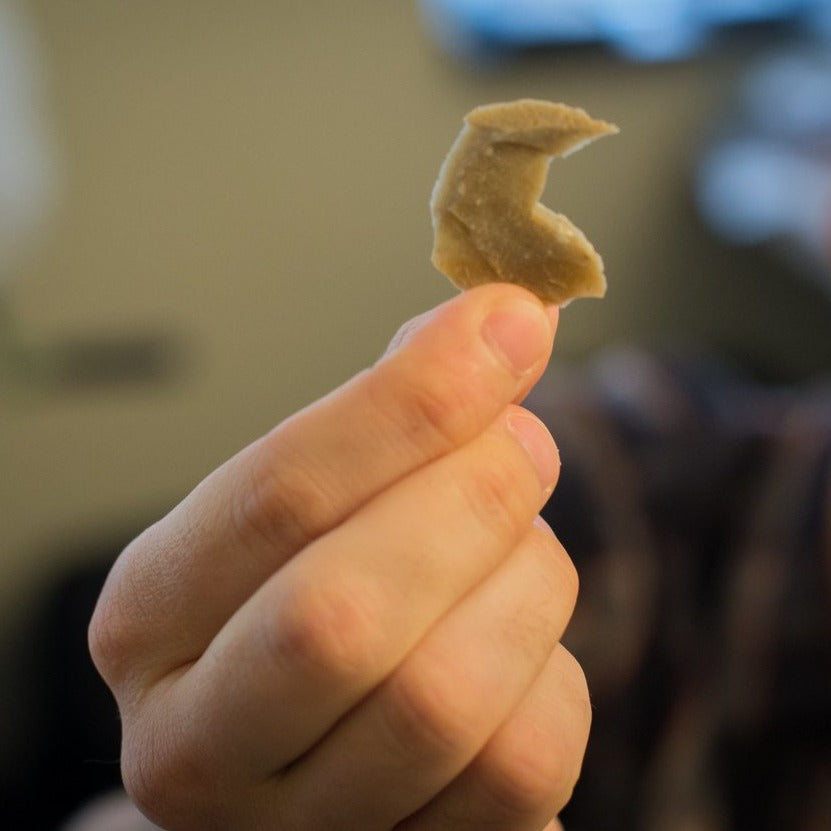Neanderthal Classic Riker Box Stone Tool Fragment