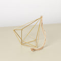 Air Plant Display Hanger - Brass
