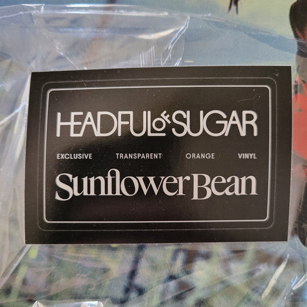Headful Of Sugar | Mint (M) Mint (M) - PhishStones Products