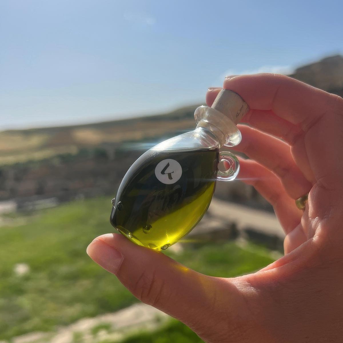 Henna Oil for Dry Hair & Scalp - PhishStones Products