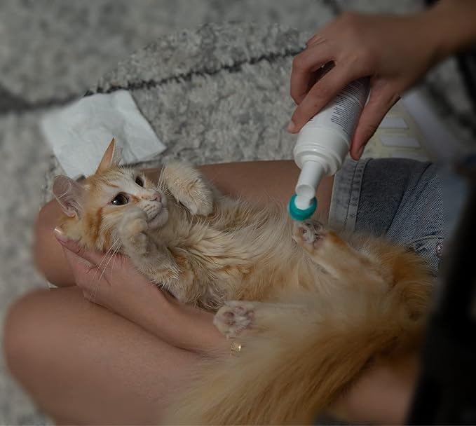 Hi Pet Dog Paw Cleaner Foam with Built - in Paw Scrubber Brush, Paw Cleaner for Dogs and Cats, Cat and Dog Paw Moisturizer, Effortless and Easy - to - Use Bottle Design Dog Feet Cleaner, 5.07 Fl Oz - PhishStones Products