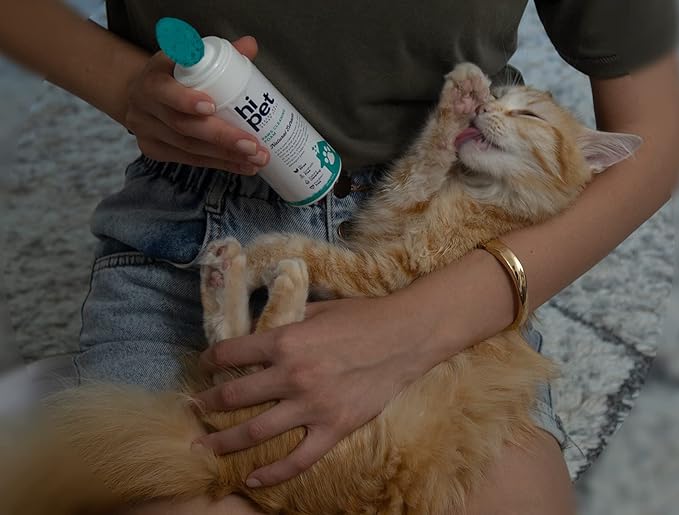 Hi Pet Dog Paw Cleaner Foam with Built - in Paw Scrubber Brush, Paw Cleaner for Dogs and Cats, Cat and Dog Paw Moisturizer, Effortless and Easy - to - Use Bottle Design Dog Feet Cleaner, 5.07 Fl Oz - PhishStones Products