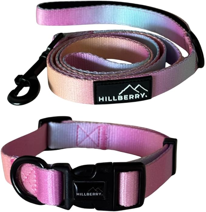 HILLBERRY Dog Collar and Leash Set Adjustable Rainbow Pink Purple Blue Puppy Pet Essentials and Supplies - Size L - PhishStones Products