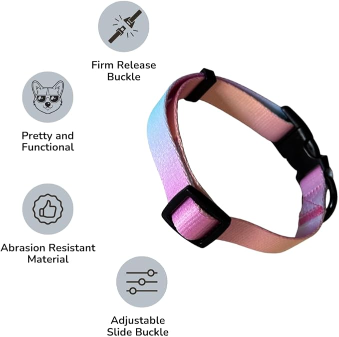 HILLBERRY Dog Collar and Leash Set Adjustable Rainbow Pink Purple Blue Puppy Pet Essentials and Supplies - Size L - PhishStones Products