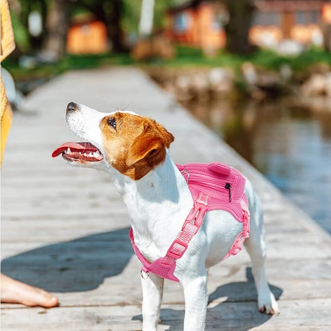 IDOMIK Dog Backpack Harness, No - Pull Dog Backpack with D - Ring for Small Medium Dogs, Cute Self Carrier Backpack for Dogs to Wear, Adjustable Dog Harness Backpack for Traveling Camping Hiking,Pig,S - PhishStones Products
