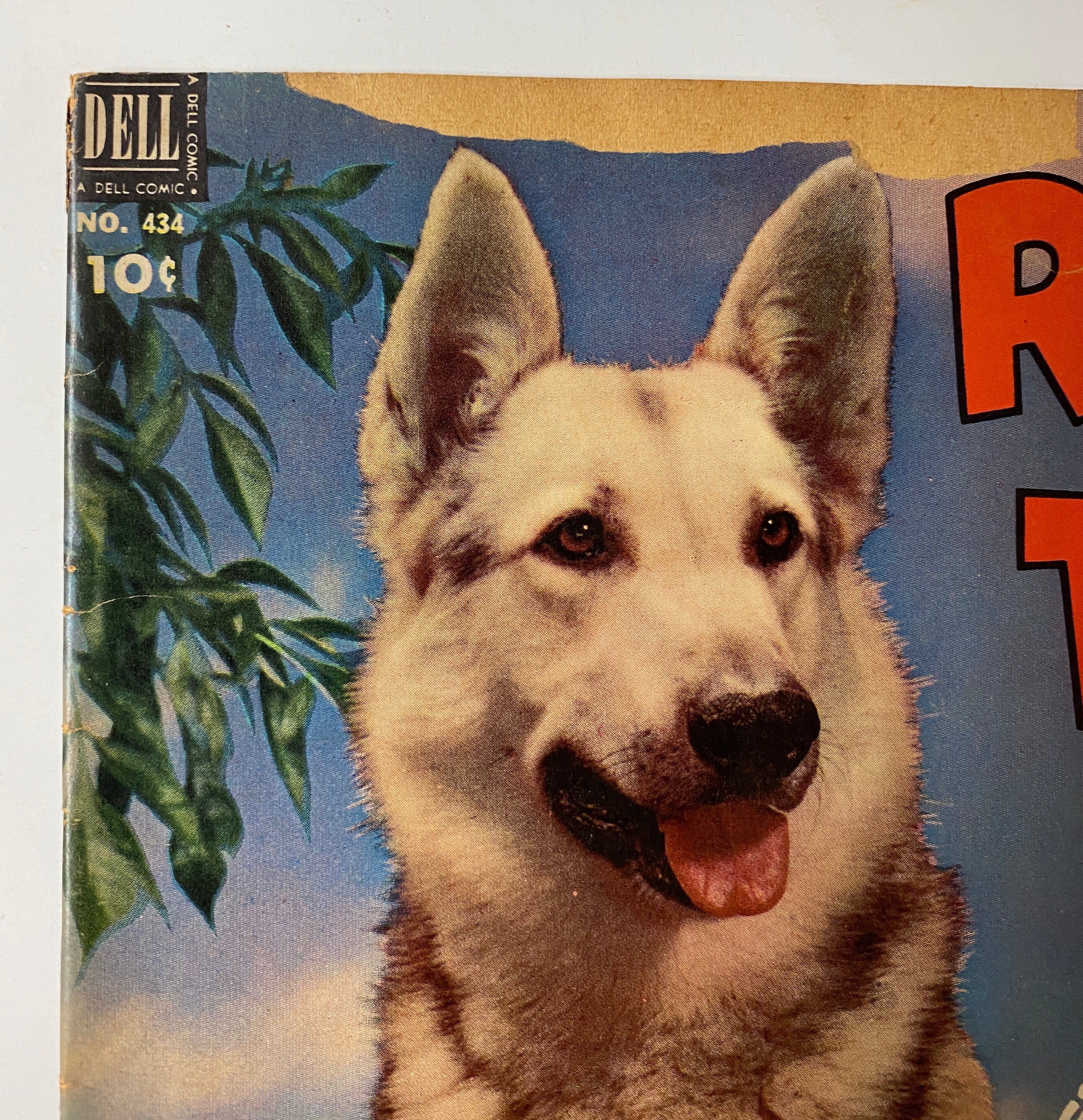 Four Color (1942) #434 Rin Tin Tin #1 Photo Cover Sparky Moore Art TV Show