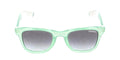 CARRERA 6000/R