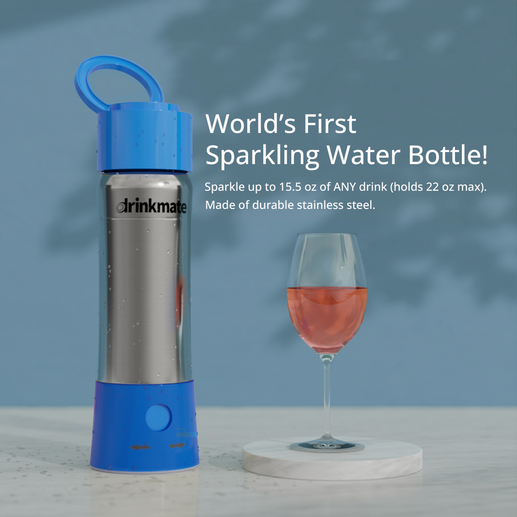 instaFizz Stainless Steel Carbonation Bottle Bundle with 10x 8g CO2 Cartridges and Silicone Sleeve