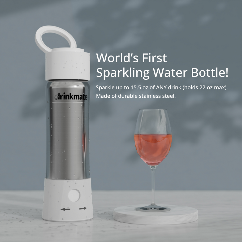 instaFizz Stainless Steel Carbonation Bottle Bundle with 10x 8g CO2 Cartridges and Silicone Sleeve