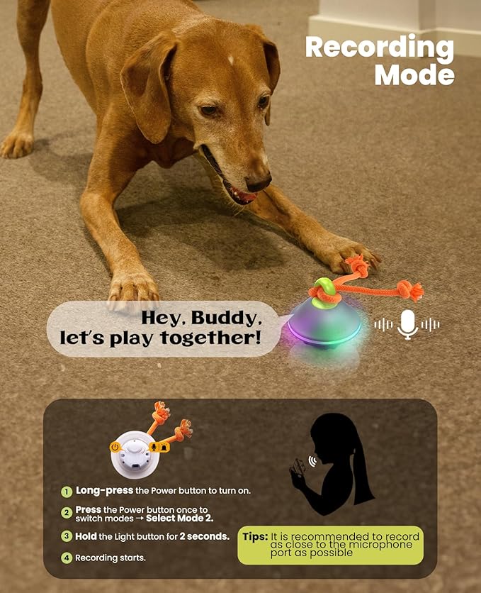 Interactive Dog Toys, Automatic Moving and Rolling LED Light Up Dogs Ball with Rope, Motion - Activated Wicked Ball for Small Medium Pup, Stimulation Toy for Boredom Relief - PhishStones Products