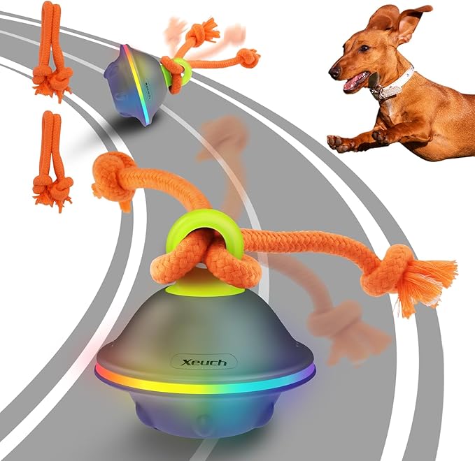 Interactive Dog Toys, Automatic Moving and Rolling LED Light Up Dogs Ball with Rope, Motion - Activated Wicked Ball for Small Medium Pup, Stimulation Toy for Boredom Relief - PhishStones Products