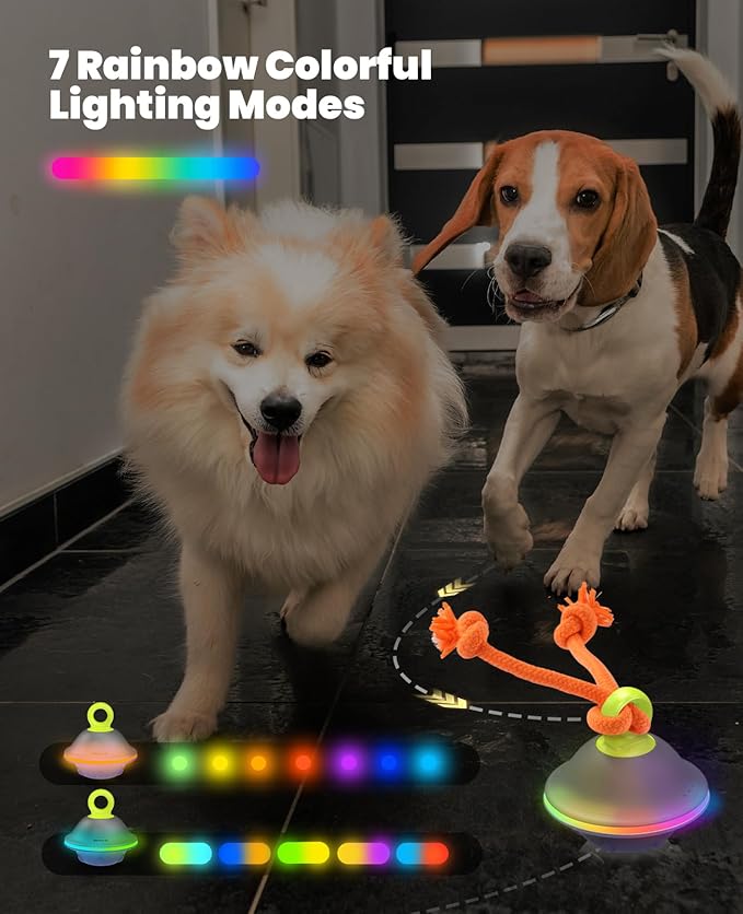 Interactive Dog Toys, Automatic Moving and Rolling LED Light Up Dogs Ball with Rope, Motion - Activated Wicked Ball for Small Medium Pup, Stimulation Toy for Boredom Relief - PhishStones Products