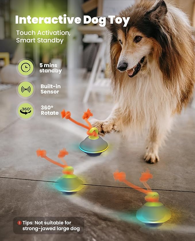 Interactive Dog Toys, Automatic Moving and Rolling LED Light Up Dogs Ball with Rope, Motion - Activated Wicked Ball for Small Medium Pup, Stimulation Toy for Boredom Relief - PhishStones Products
