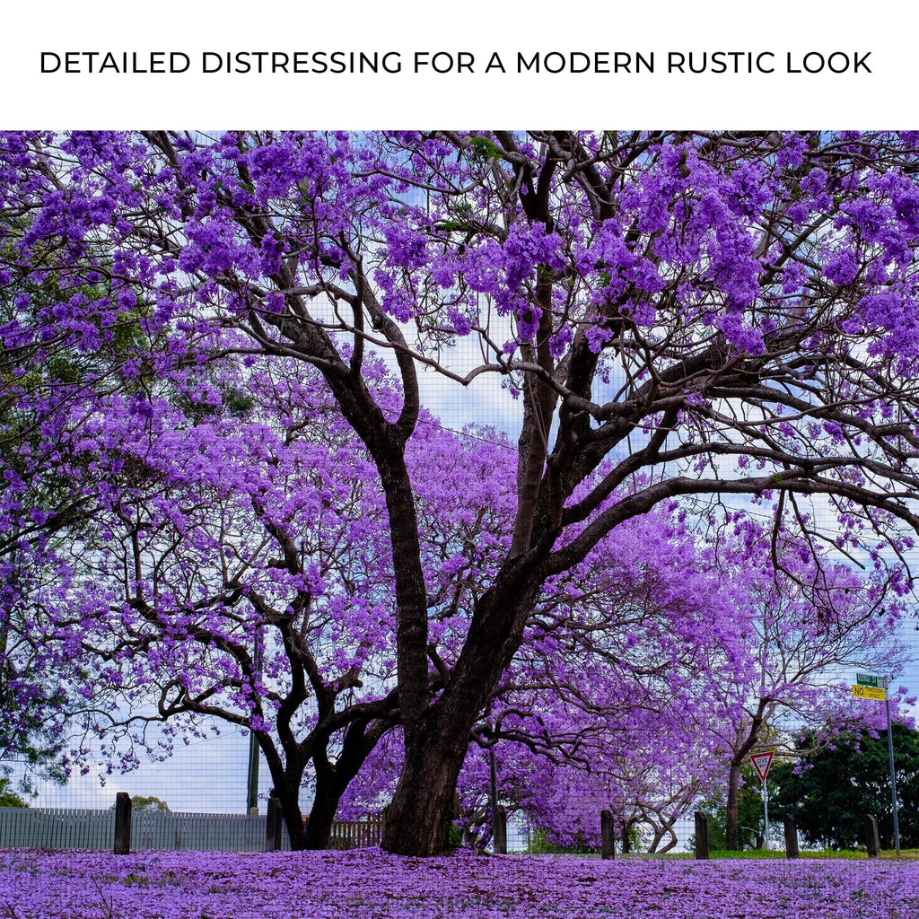 Jacaranda Trees Canvas Wall Art - PhishStones Products