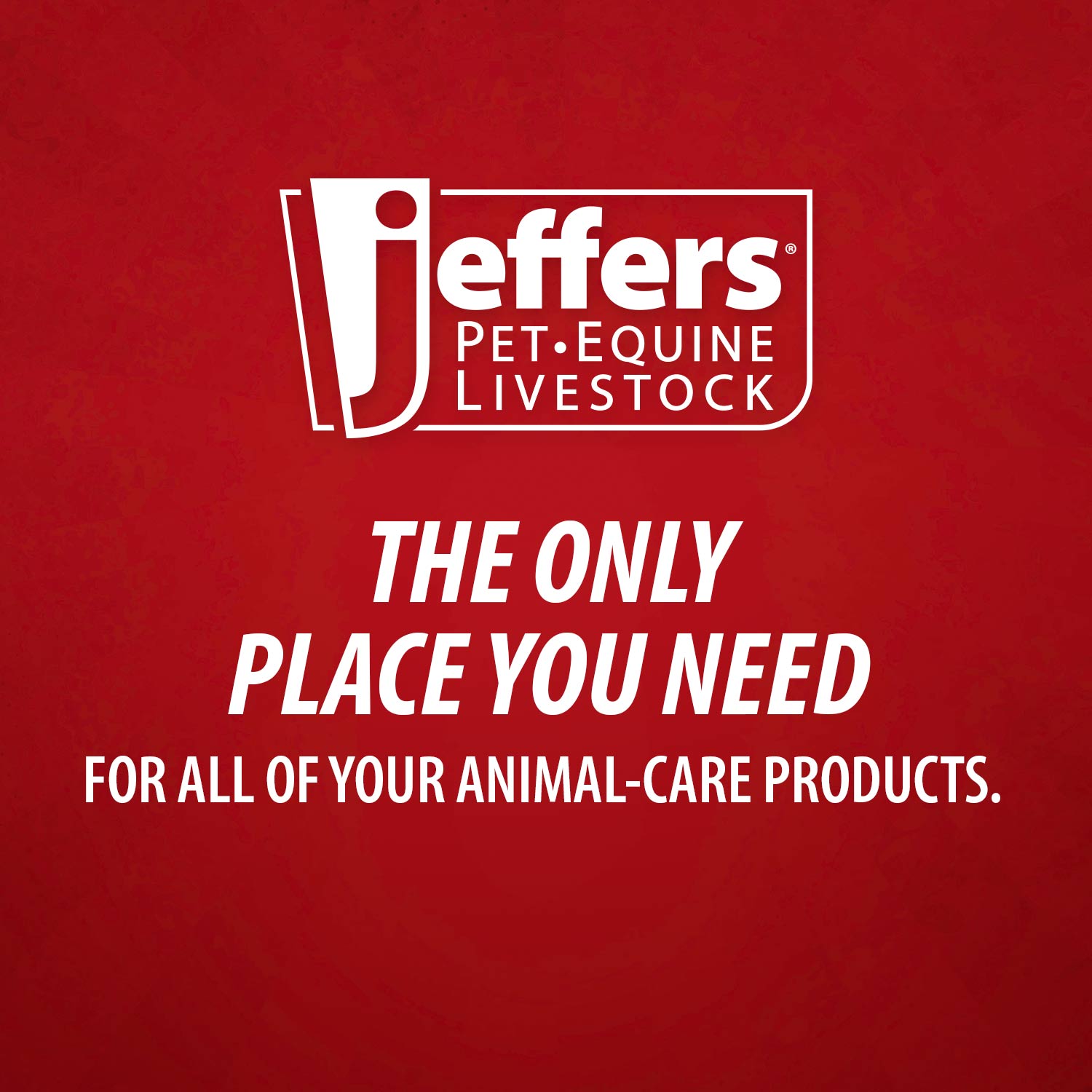Jeffers Medicated 2% Chlorhexidine Shampoo for Dogs, Cats & Horses